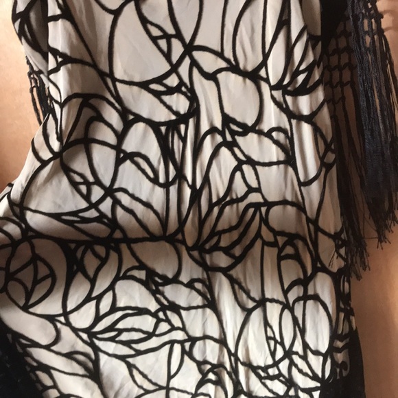 AUTHENTIC VINTAGE 90S VELVET BURNOUT DRESS SHEER LACE FRINGE GRUNGE GOTH S - Picture 8 of 9